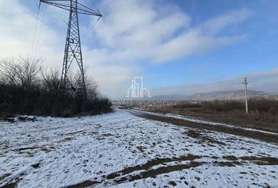 Teren arabil extravilan 21.700 Mp - 4