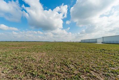 Teren intravilan Belciugatele*300 m de DJ503*Linie de tensiune medie* - 6