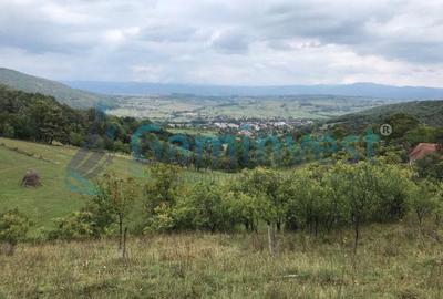 Teren agricol intravilan de 1400 mp, în Șuncuiuș - 4