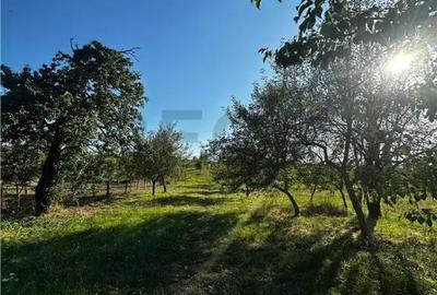 Casă cu 2 camere cu Teren 4000 Mp în Budureasa - 2