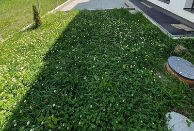 Apartament cu 3 camere semidecomandat în Florești - 17