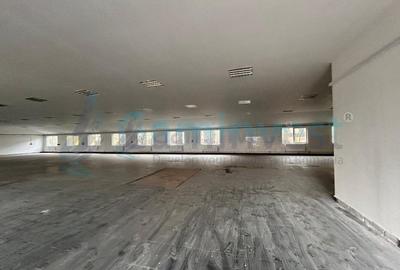 Spațiu industrial, de 1,519 mp, în Vest - 5