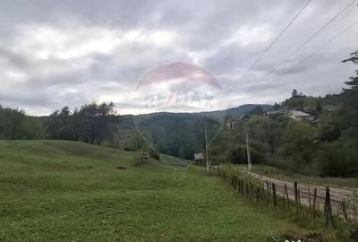 Teren de 4000 mp, în Moroeni - 10