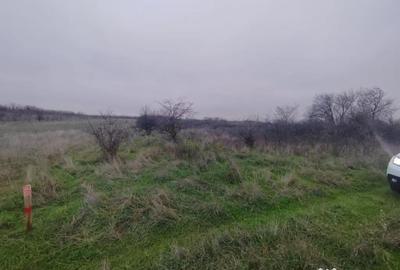 Teren de 2500 mp, în Cârcea