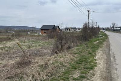 Teren de 720 mp, în Plavia