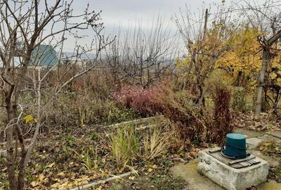 Casă cu 4 camere cu Teren 2200 Mp în Cotnari - 6