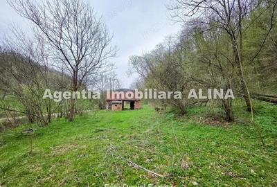 Teren în Nojag - 12