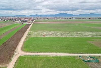 Teren de 427 mp, în Hărman