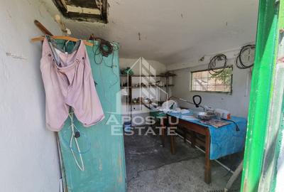 Casa individuala cu 3 camere in Calea Sagului, cu curte spatioasa - 11