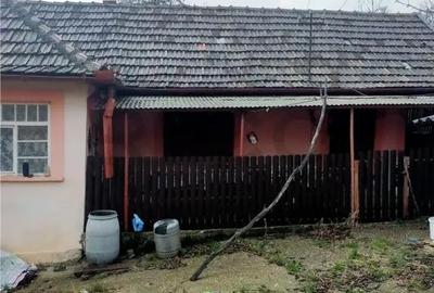Casă cu 3 camere cu Teren 2650 Mp în Burzuc - 6