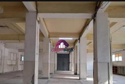 Hala de inchiriat Drumul intre Tarlale - 2