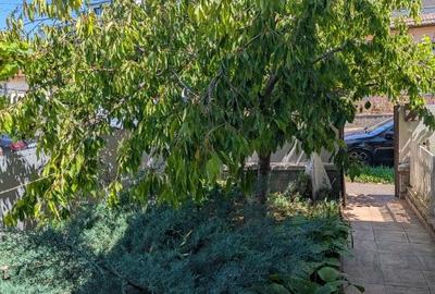 Casă cu 3 camere cu Teren 250 Mp în Central