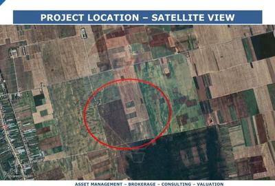 Proprietate specială, de 12,000 mp, în Umbrărești - 3