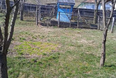 Casă cu 4 camere cu Teren 1600 Mp în Orășeni-Vale - 10
