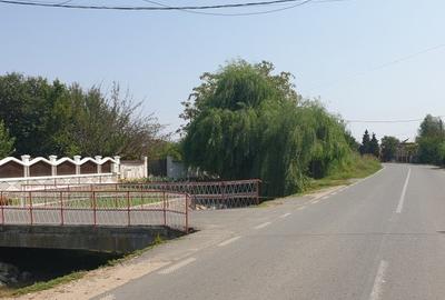 Teren Construcții extravilan de 5000 mp, în Gruiu