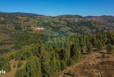 Teren de 1000 mp, în Băișoara - 4