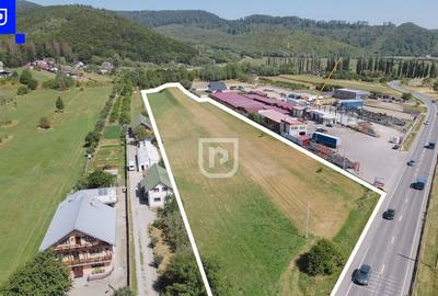 Teren generos cu deschidere la DN17/E58 situat in Gura Hu... - 6