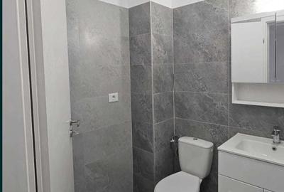 Apartament cu 2 camere decomandat în Dobroești - 2