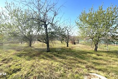 Spațiu comercial, în Central - 2