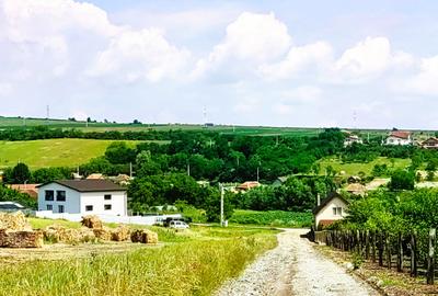 28.554 mp TEREN EXTRAVILAN, TURDA - SĂNDULEȘTI, jud. CLUJ, 300 m de AUTOSTRADA - 9