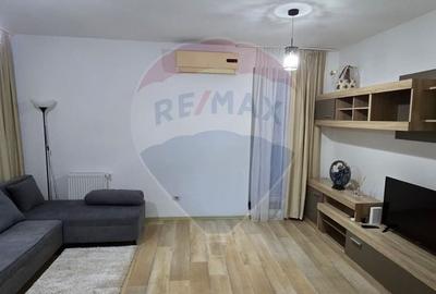 Apartament cu 2 camere de inchiriat Vivalia  zona Aurel Vlaicu - 4