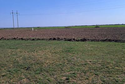 Spațiu comercial, în Sacoșu Turcesc - 6