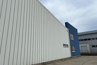 Spatiu de depozitare si productie Iuliul Maniu - 5