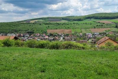 Teren de 2200 mp, în Bărdești - 1