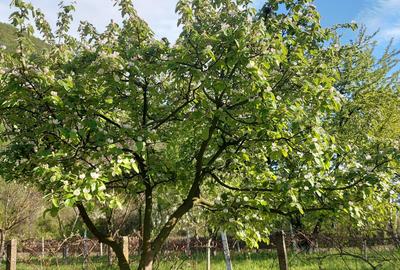 Spațiu comercial, în Central - 7