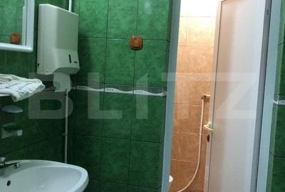 Oportunitate!!! Casa individuala 231mp , teren 825mp, Razvad - 4