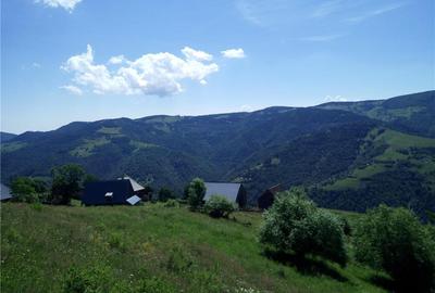 Teren de 5619 mp, în Măguri - 5