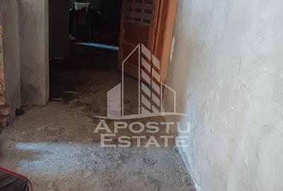 Casa individuala in Cruceni ,la granita cu Serbia - 5