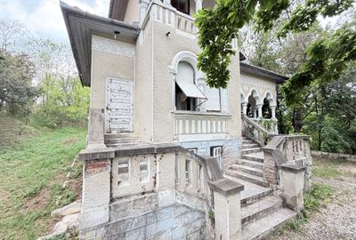 Casă individuală cu 6 camere cu Teren 10000 Mp în Caransebeș - 3