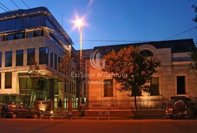 Spatiu Birouri Stirbei Voda - Berzei - 5