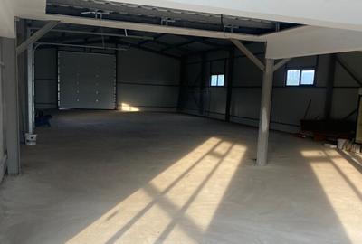 Hala Metalica Spa?iu Comercial Sud Bolintin Vale Giurgiu - 7