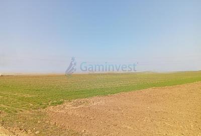 Teren Construcții intravilan de 20000 mp, în Biharia - 4