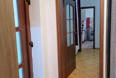 CI495 Apartament istoric Parter+Demisol,renovat,Piata Traian - 14