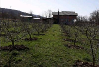Teren de 1500 mp, în Băiculești - 2