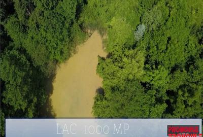 Valea Budului - Teren intravilan. Lac. Padure - 5