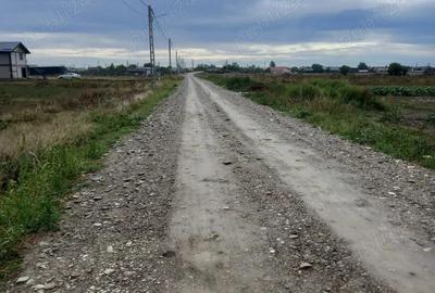Teren de 7500 mp, în Mărăcineni - 4