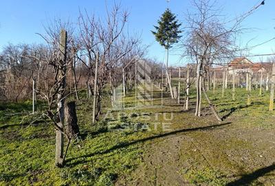Casă cu 5 camere cu Teren 2158 Mp în Freidorf - 15