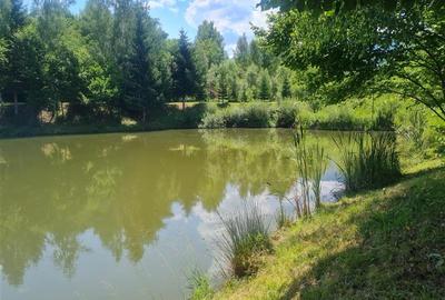FILM! Oaza paradisiaca cu lac, vedere catre Bucegi, Glajerie/ Rasnov, pretabil C - 24