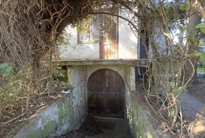 Casa de vinificatie 2 camere cu Teren 1389 mp - Gradina Viilor ,,Nyulhat,,-Carei Casa de vinificatie 2 camere cu Teren 1389 mp - Gradina Viilor ,,Nyulhat,,-Carei - 9