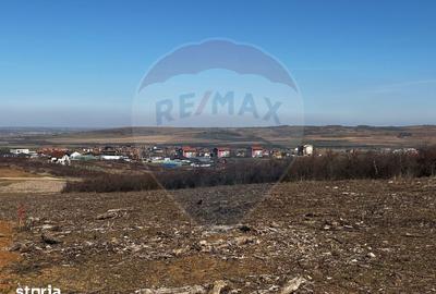 Teren de 618 mp, în Oncea - 8