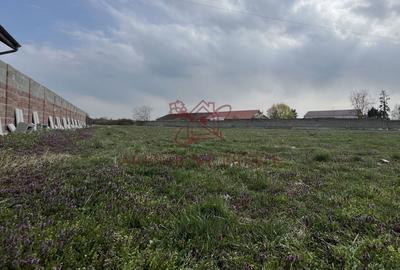 Teren de 2450 mp, în Bucovăț - 2