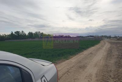 Teren în Măgurele - 20