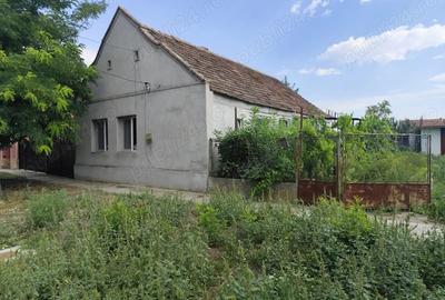 Proprietar vand casa la Cenei jud.Timis - 3