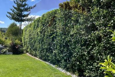 Casa exclusivista care combina perfect luxul si functionalitatea Casa exclusivista care combina perfect luxul si functionalitatea - 5