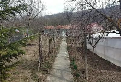 Casă în Racovițeni - 2
