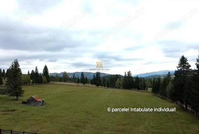 Teren 2804 mp, la munte! In Bucovina Fundu Moldovei! - 6